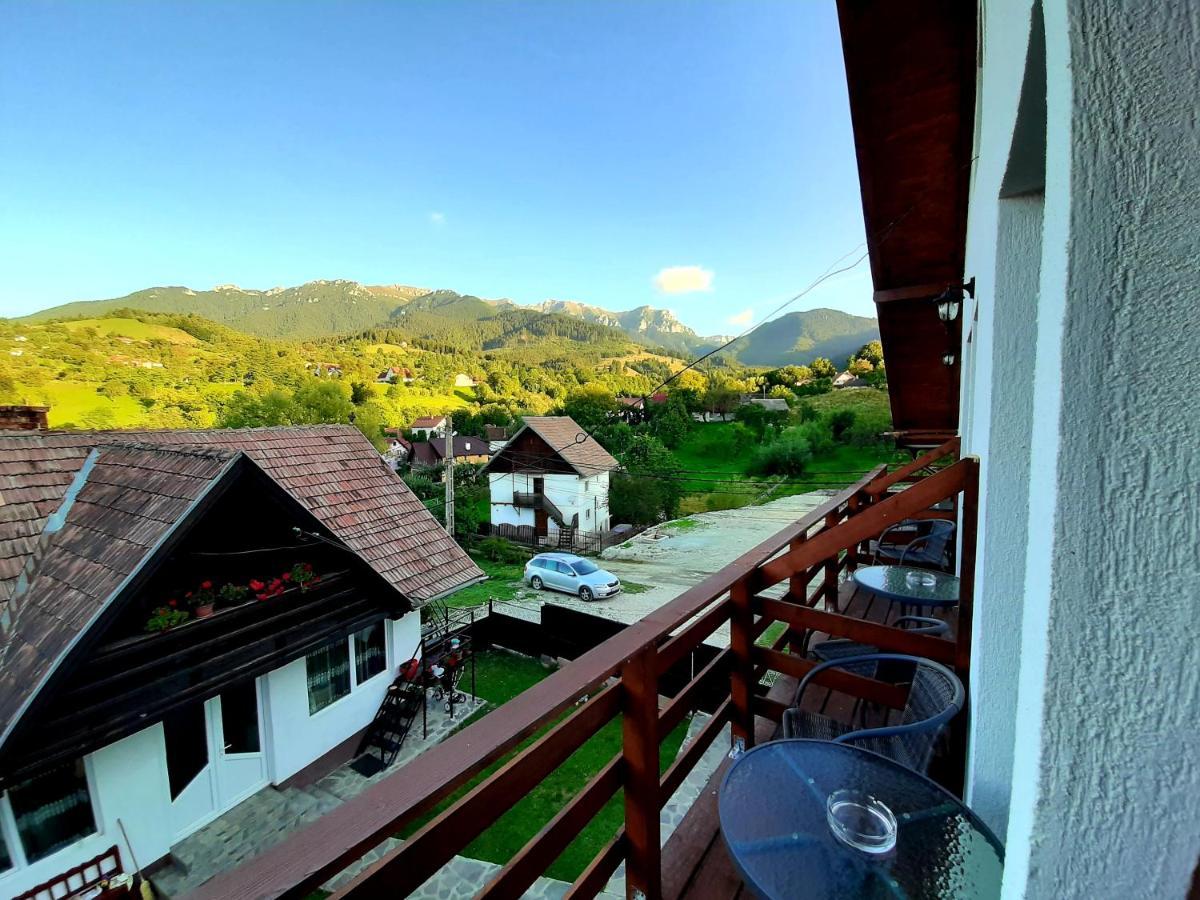 Milea'S Guesthouse Bran  Bagian luar foto