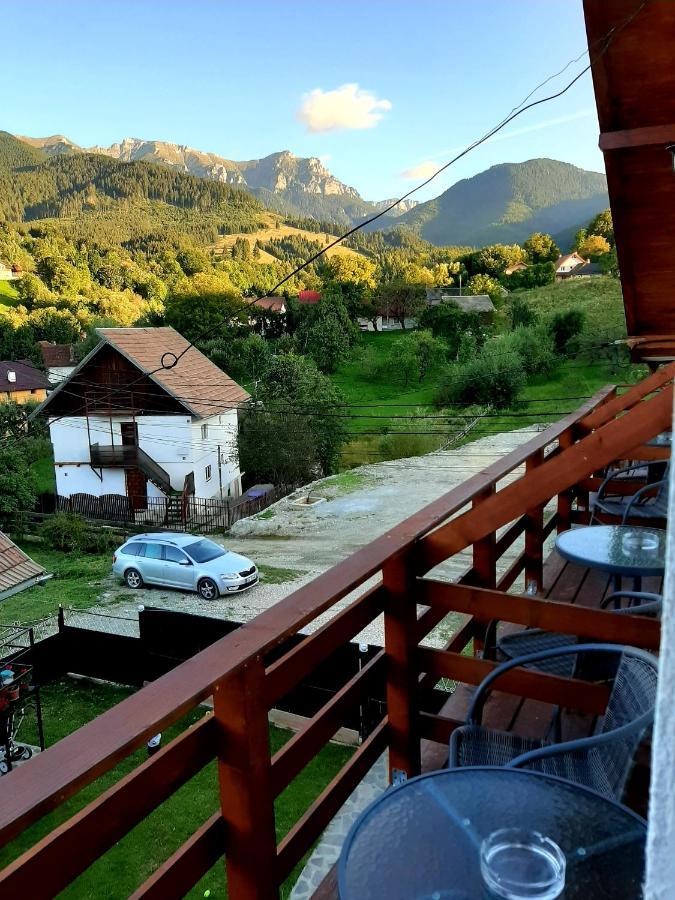 Milea'S Guesthouse Bran  Bagian luar foto
